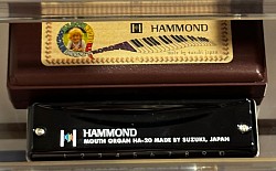Suzuki Hammond, €56,-