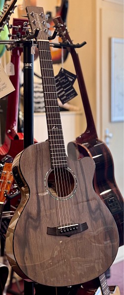 Tanglewood Azure TA4CEGY, €349,-