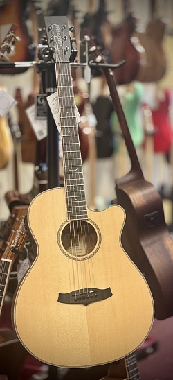 Tanglewood TP 4 CE €619,-