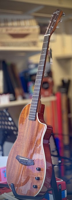 Rathbone RSM1 KE Hollowbody €459,-