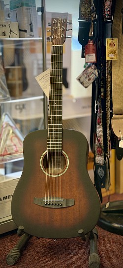 Tanglewood TWTR C (mini dreadnought) €189,-