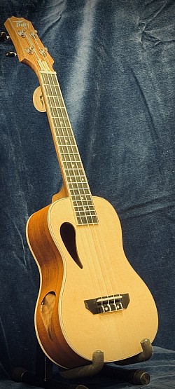 Peavey Composer €109,95